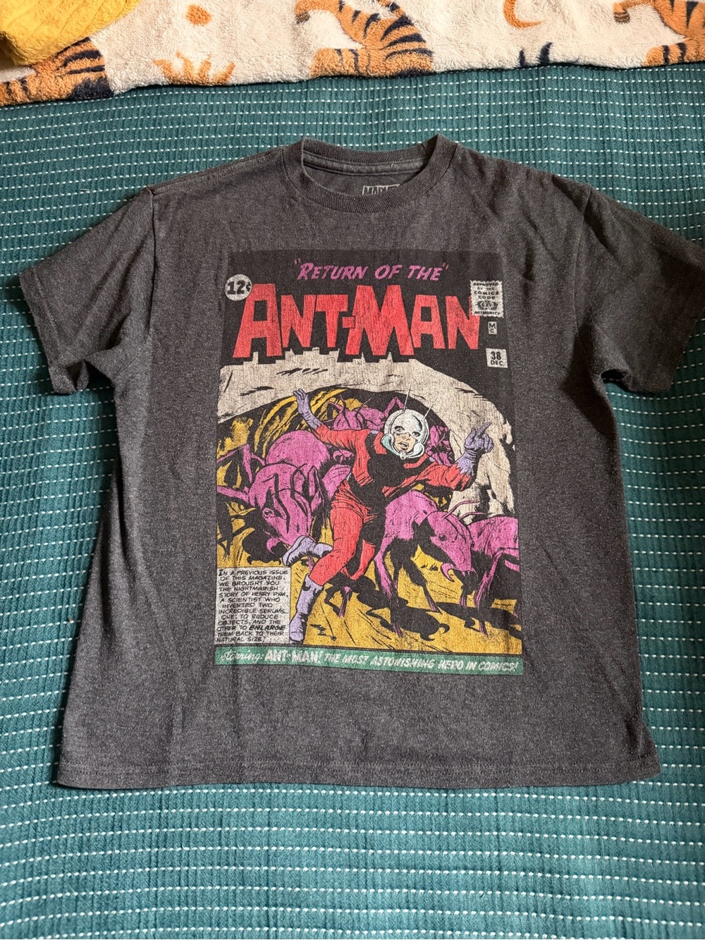Marvel Ant-Man Graphic Tee - Charcoal with Red and Pink Accents
